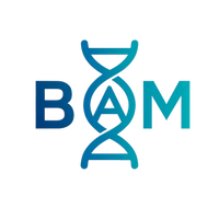Bam Peptides